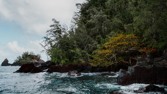 Backgrounds Taken By Josh