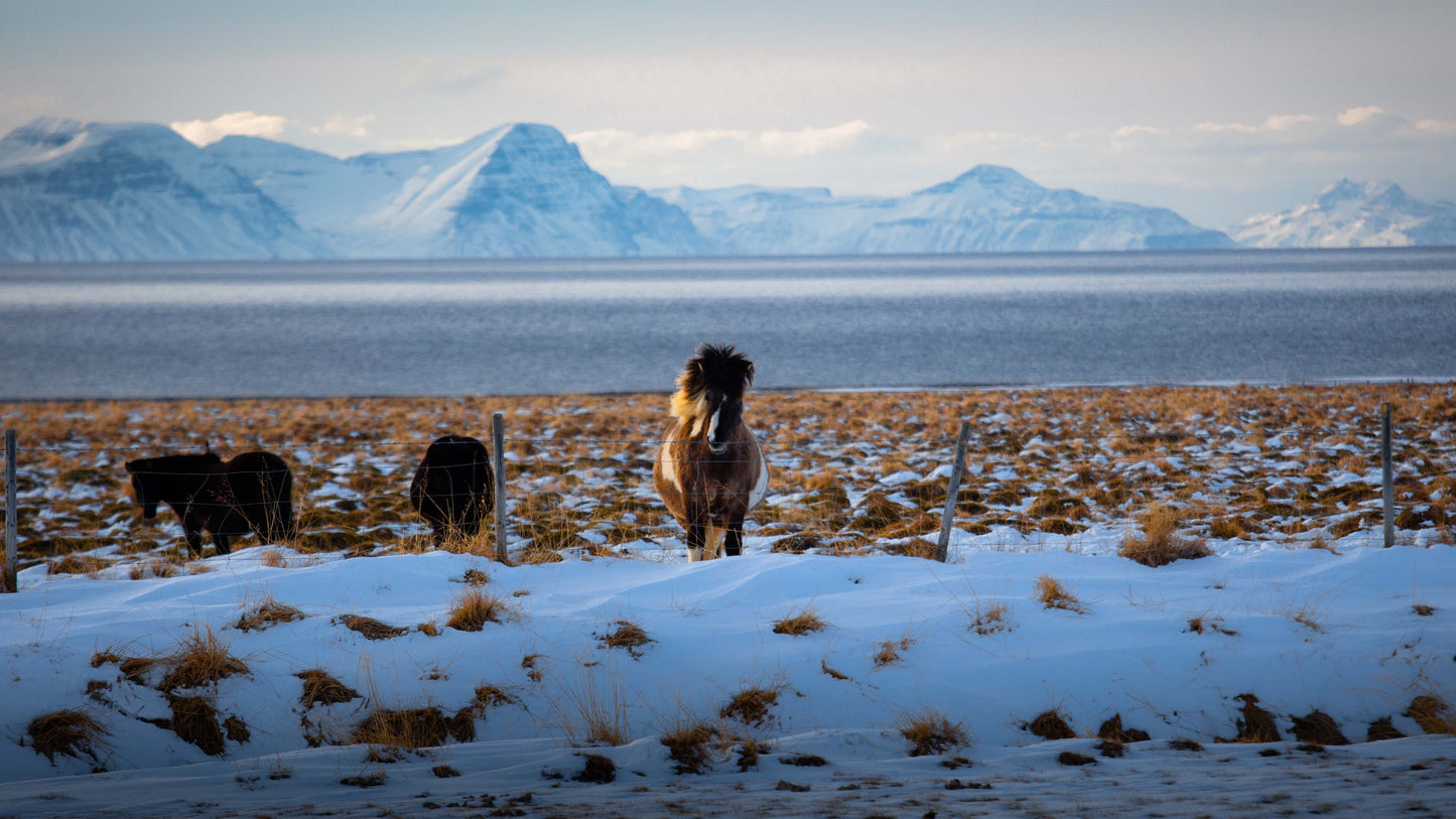 Backgrounds Taken By Josh